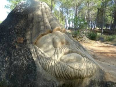 Ruta de las Caras-Embalse de Buendía; rascafría senderismo burgos robregordo tejo arbol